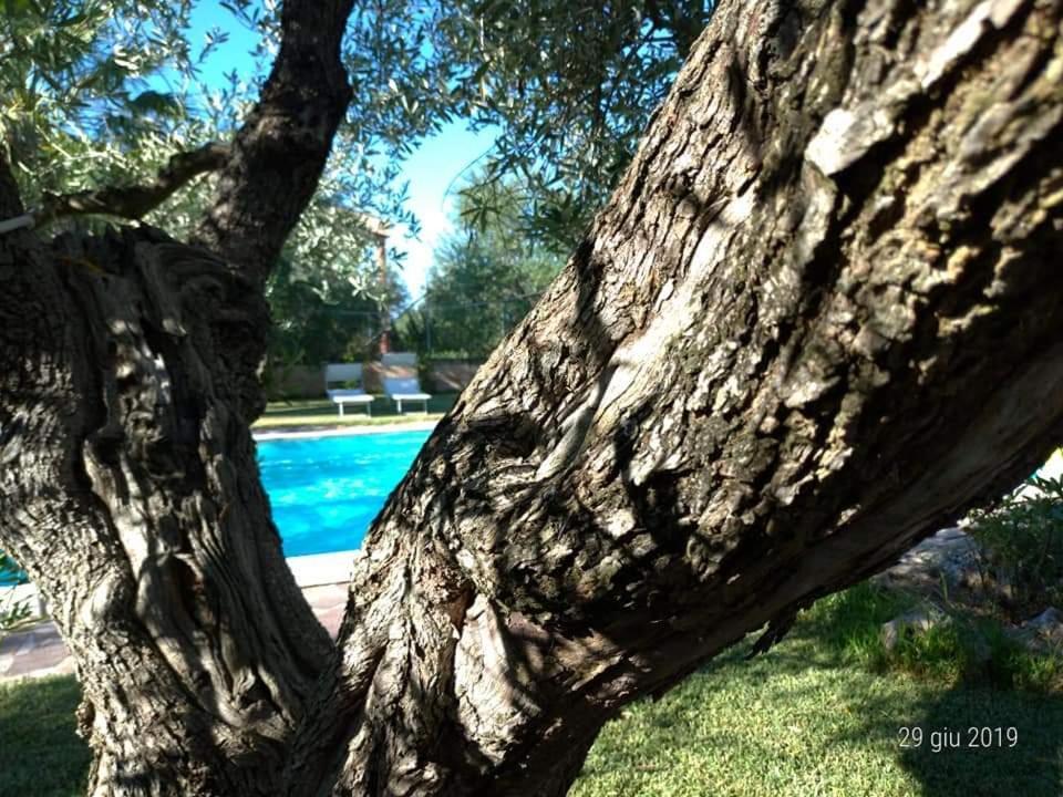 La Ginestra Trani Exterior foto
